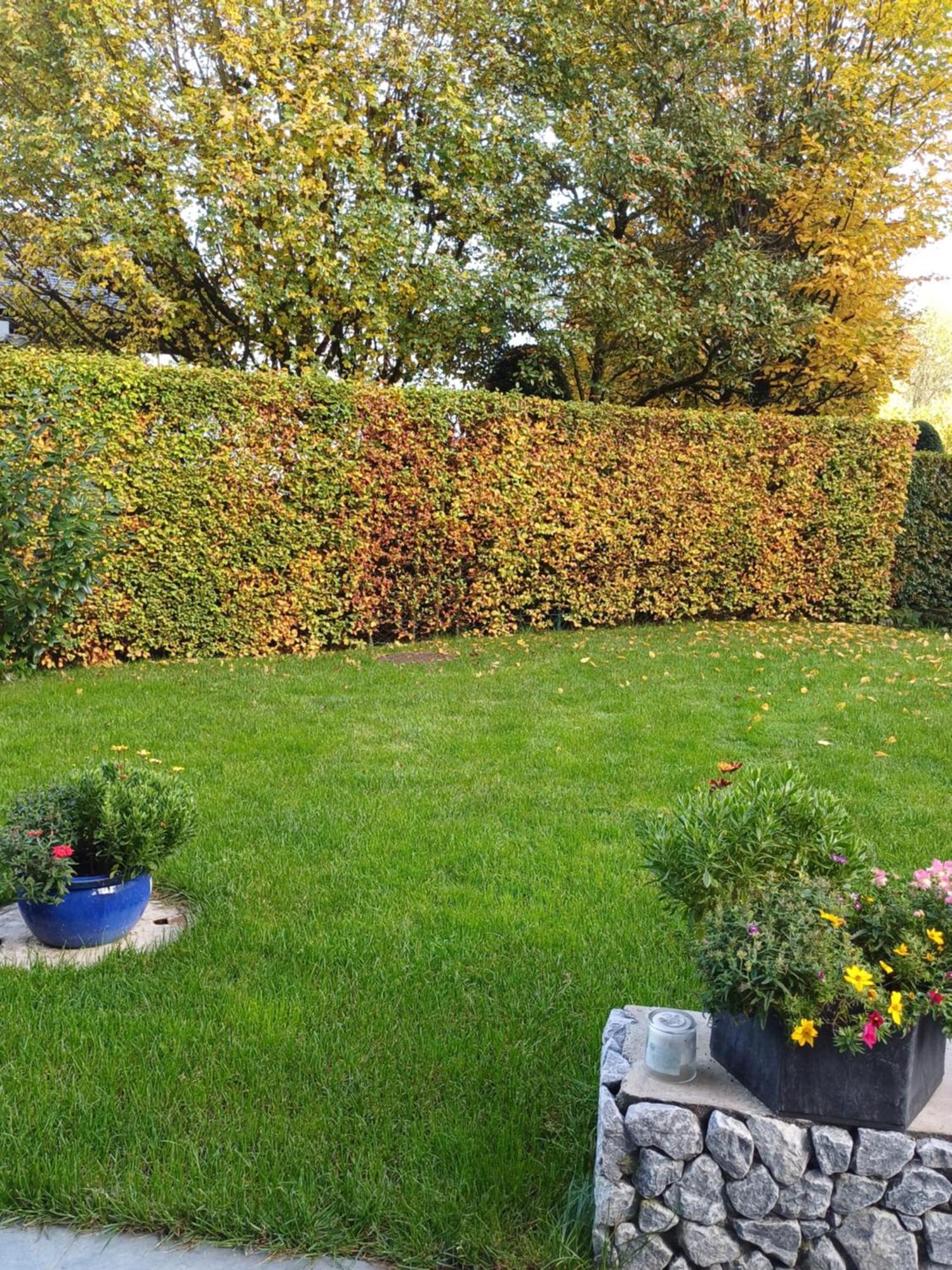 Ferienwohnung Claudia Mit Terrasse Nussdorf am Attersee Eksteriør bilde